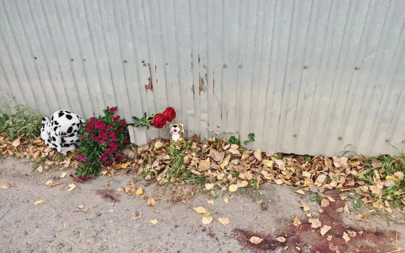 Очевидцы: 14-летний подросток на велосипеде погиб после столкновения с забором в Казённой Заимке